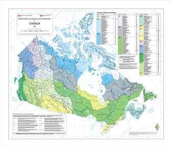 Soil Map