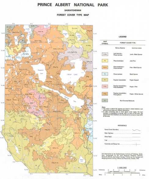View the map:  Forest Cover Type (JPG Format)