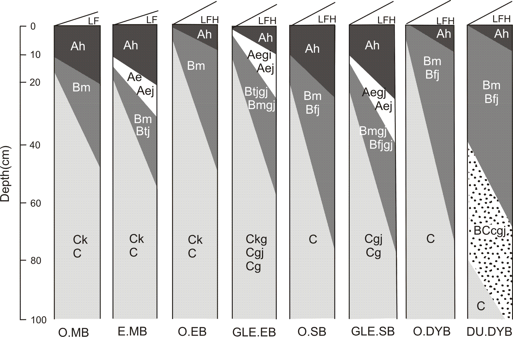Figure 28 is a diagrammatic horizon pattern of some subgroups of the Brunisolic order.

Orthic Melanic Brunisol (O.MB)
Common horizon sequence: LF, Ah, Bm, Ck or C. These soils have the general properties specified for the Brunisolic order and the Melanic Brunisol great group. Characteristically, they have a forest mull Ah horizon with fine to medium granular structure and a brownish-colored Bm horizon with a chroma of 3 or more. The color of the B horizon normally fades with depth. Commonly the C horizon is calcareous. Orthic Melanic Brunisols are identified by the following properties:
They have either an Ah horizon 10 cm thick or more or an Ap horizon at least 10 cm thick with a moist color value less than 4. The A horizon does not meet the requirements of a chernozemic A.
1.	They have a pH (0.01 M CaCl2) of 5.5 or more as specified for the great group.
2.	They have a Bm horizon at least 5 cm thick.
3.	They lack an eluvial horizon, Ae or Aej, at least 2 cm thick.
4.	They lack mottles that indicate gleying as specified for Gleyed Melanic Brunisols.
Orthic Melanic Brunisols and all other subgroups of Brunisolic soils may have a lithic contact within 50 cm of the surface or have turbic or andic features. These features are separated taxonomically at the family (lithic, some andic) or series (turbic) levels, or as phases of any taxonomic level above the family.

Eluviated Melanic Brunisol (E.MB)
Common horizon sequence: LF, Ah, Ae or Aej, Bm or Btj, Ck or C. These soils have the general properties specified for soils of the Brunisolic order and the Melanic Brunisol great group. They differ from Orthic Melanic Brunisols by having an eluvial horizon, Ae or Aej, at least 2 cm thick. The underlying horizon may be a Btj with thin clay skins on some surfaces or, less commonly, a Bfj. Otherwise, they have the diagnostic properties of Orthic Melanic Brunisols.

Orthic Eutric Brunisol (O.EB)
Common horizon sequence: LFH, Bm, Ck or C. These soils have the general properties specified for the Brunisolic order and the Eutric Brunisol great group. Usually they have one or more organic surface horizons overlying a brownish-colored, base-saturated B horizon. The C horizon is commonly calcareous. Orthic Eutric Brunisols are identified by the following properties:
1.	They have a pH (0.01 M CaCl2) of 5.5 or more as specified for the great group.
2.	They have a Bm horizon at least 5 cm thick.
3.	They lack an eluvial horizon, Ae or Aej, at least 2 cm thick.
4.	They lack mottles that indicate gleying as specified for Gleyed Melanic Brunisols.
5.	They lack an Ah horizon at least 10 cm thick and an Ap horizon at least 10 cm thick with a moist color value of 4 or less.

Gleyed Eluviated Eutric Brunisol (GLE.EB)
Common horizon sequence: LFH, Ae or Aegj, Bmgj or Btjgj, Cgj or Cg or Ckg. These soils have the general properties specified for soils of the Brunisolic order and the Eutric Brunisol great group. They differ from Eluviated Eutric Brunisols by having mottles that indicate gleying. Gleyed Eluviated Eutric Brunisols have either an Ae or an Aej horizon at least 2 cm thick and mottles as specified for Gleyed Eutric Brunisols. 

Orthic Sombric Brunisol (O.SB)
Common horizon sequence: LFH, Ah, Bm, C. These soils have the general properties specified for the Brunisolic order and the Sombric Brunisol great group. Usually they have an organic layer at the surface, a dark grayish brown to black Ah horizon, a brown acid B horizon, and an acid C horizon. Orthic Sombric Brunisols are identified by the following properties:
1.	They have an Ah horizon at least 10 cm thick or an Ap horizon at least 10 cm thick with a moist color value less than 4.
2.	They have a pH (0.01 M CaCl2) of less than 5.5 as specified for the great group.
3.	They have a Bm horizon at least 5 cm thick.
4.	They lack an eluvial horizon, Ae or Aej, at least 2 cm thick.
5.	They lack mottles that indicate gleying as specified for Gleyed Sombric Brunisols.
6.	They lack a duric horizon.

Gleyed Eluviated Sombric Brunisol (GLE.SB)
Common horizon sequence: LFH, Ah, Aej or Aegj, Bmgj or Bfjgj, Cgj or Cg. These soils have the general properties specified for soils of the Brunisolic order and the Sombric Brunisol great group. They differ from Eluviated Sombric Brunisols by having mottles that indicate gleying. Gleyed Eluviated Sombric Brunisols have either an Ae or an Aej horizon at least 2 cm thick and mottles as specified for Gleyed Sombric Brunisols.

Orthic Dystric Brunisol (O.DYB)
Common horizon sequence: LFH, Bm, C. These soils have the general properties specified for the Brunisolic order and the Dystric Brunisol great group. Usually they have organic surface horizons and brownish-colored, acid B horizons overlying acid C horizons. Orthic Dystric Brunisols are identified by the following properties:
1.	They have a pH (0.01 M CaCl2) of less than 5.5 as specified for the great group.
2.	They have a Bm horizon at least 5 cm thick.
3.	They lack an eluvial horizon, Ae or Aej, at least 2 cm thick.
4.	They lack mottles that indicate gleying as specified for Gleyed Dystric Brunisols.
5.	They lack a duric horizon.
6.	They lack an Ah horizon at least 10 cm thick and an Ap horizon at least 10 cm thick with a moist color value of 4 or less.

Duric Dystric Brunisol (DU.DYB)
Common horizon sequence: LFH, Bm or Bfj, Bc or BCc, C. These soils have the general properties specified for soils of the Brunisolic order and the Dystric Brunisol great group. They differ from Orthic Dystric Brunisols by having a duric horizon within the control section. Also they may have Ae and Btj or Bfj horizons and mottles that indicate gleying.
.