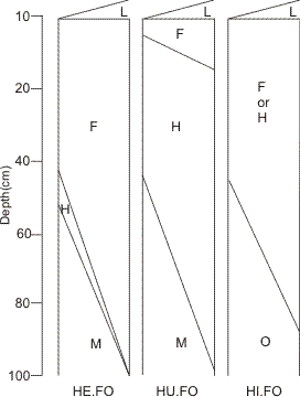 Figure 36 is a Diagrammatic horizon pattern of some subgroups of the Folisol great group.
Hemic Folisol (HE.FO)
Common horizon sequence: L, F, H, O, R, (M).  Soils of this subgroup are composed dominantly of the moderately decomposed F horizon in the control section and may have subdominant H and O horizons, each less than 10 cm thick. They commonly have a lithic contact or fragmental layers but meet the requirements of the Folisol great group. The F horizon consists of partly decomposed folic material generally derived from mosses, leaves, twigs, reproductive structures, and woody materials containing numerous live and dead roots.
Hemic Folisols usually occur on upper slope shedding positions and commonly consist of shallow folic material over bedrock or fragmental material, or the folic materials may occupy voids in fragmental material. There may be a thin layer of mineral soil separating the folic horizon from bedrock or from the fragmental material.

Humic Folisol (HU.FO)
Common horizon sequence: L, F, H, O, R, (M). Soils of this subgroup are composed dominantly of the well-decomposed H horizon in the control section and may have subdominant F and O horizons each less than 10 cm thick. A lithic contact, fragmental, or mineral layers may be common in the control section, but the soils meet the requirements for the Folisol great group. 
Humic Folisols occur most frequently in cool, moist, humid forest ecosystems. Although they occur in many landscape positions, they commonly develop on lower slopes and in valley bottoms. Rooting channels and other voids are common in these soils.

Histic Folisol (HI.FO)
Common horizon sequence: L, F, H, O, R, (M). Soils of this subgroup are dominated by F or H horizons and are directly underlain by a significant (greater than 10 cm) O horizon. Generally, saturation or high water tables (resulting from drainage impediment caused by mineral horizon cementation or localized bedrock configuration) initially encouraged the production of peat. Peat development subsequently became deep enough to produce surface conditions suitable for forest encroachment and Folisol development.
.