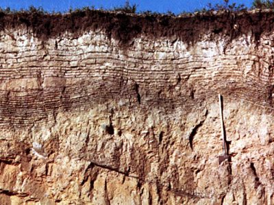 Lacustrine