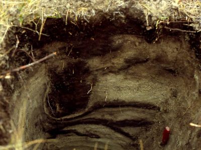 Cryoturbation (frost chruning).