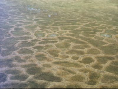 Polygonal ground (ice wedge polygons).