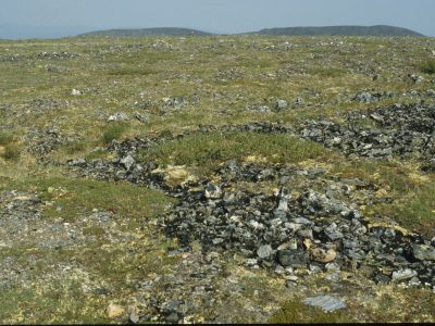 Patterned ground (sorted nets)