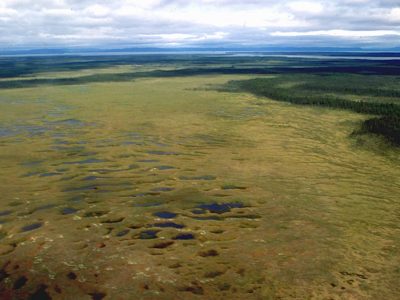 Domed bog