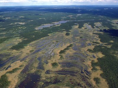 Northern ribbed fen
