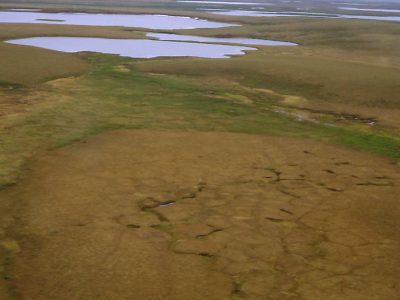 Peat Plateau Bog