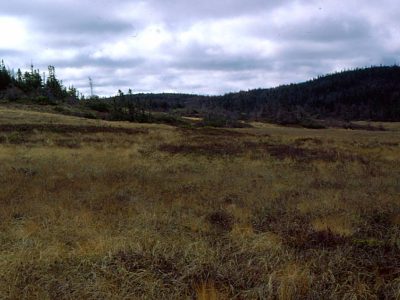 Slope Bog