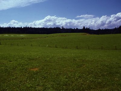 Undulating