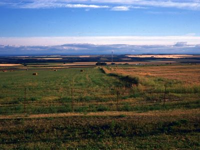 Forage cropland