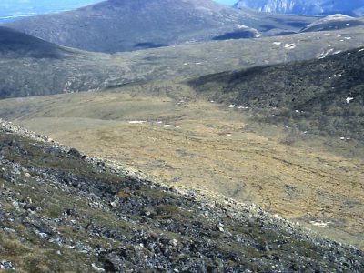 Tundra (alpine)