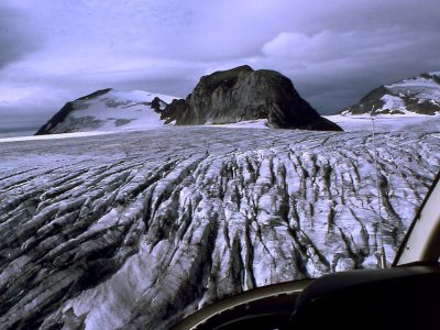 Unvegetated (rock and ice)