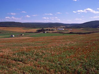 Dystric Brunisol Landscape