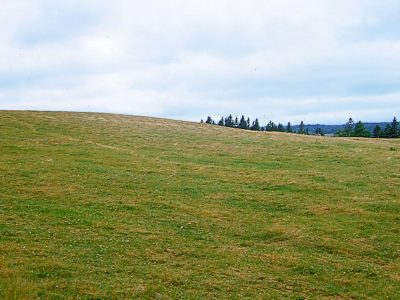 Eutric Brunisol Landscape