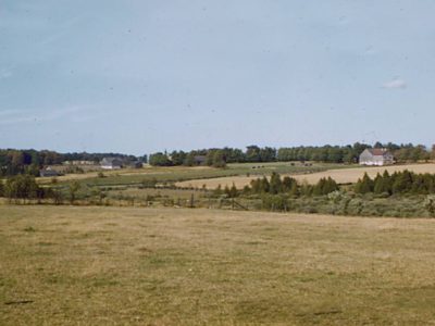 Melanic Brunisol Landscape