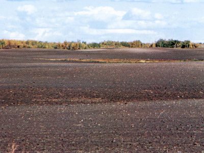 Black Chernozemic Landscape
