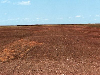 Dark Brown Chernozemic Landscape
