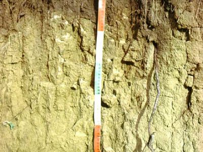 Dark Brown Chernozemic Profile