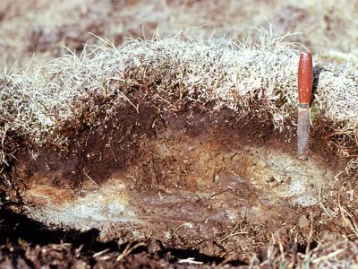 Permafrost: Frozen Turbic Cryosol profile