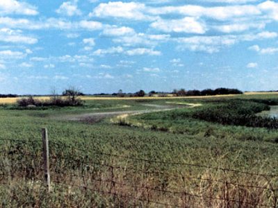 Poorly drained Gleysol Landscape