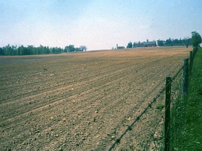 Gray Luvisol Landscape