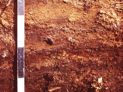 Organic Fibrisol profile