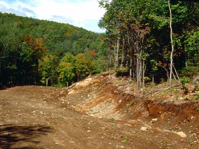 Ferro-Humic Podzol Landscape