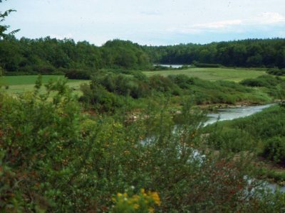 Regosolic Alluvial Landscape 