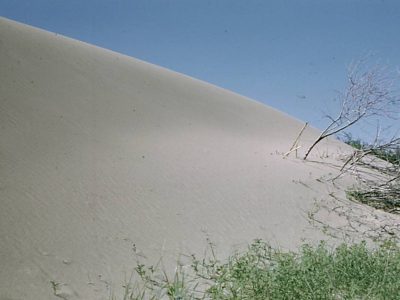 Regosol (sparse vegetation)